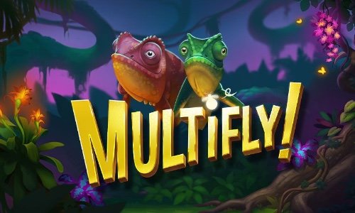 Cлот Multifly